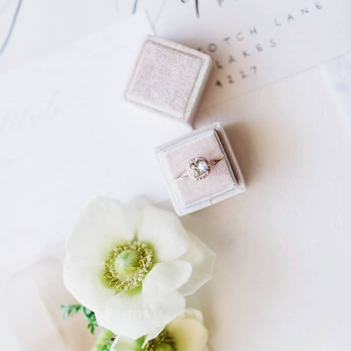 Square velvet ring boxes styled in flat lay with soft florals, elegant wedding ring presentation.